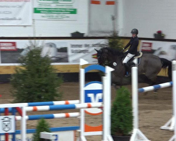 Reitturnier Heide 2021