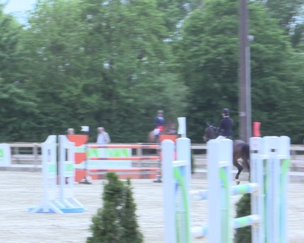 Reitturnier Nienberge 2017