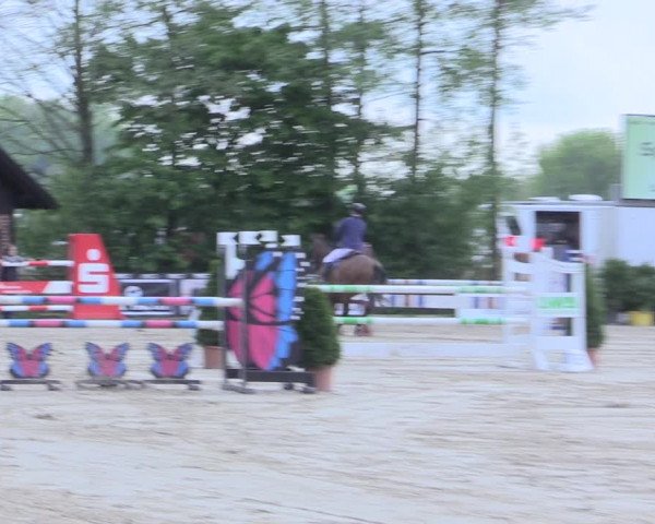 Reitturnier Nienberge 2017