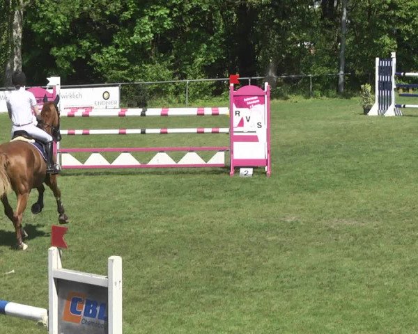 Reitturnier Schwaigern 2017