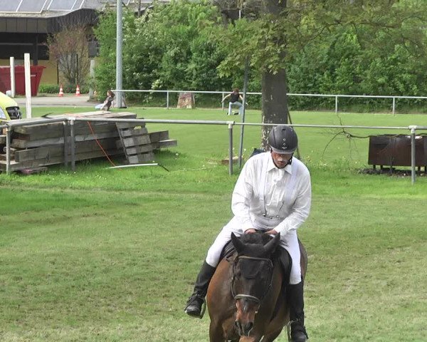 Reitturnier Schwaigern 2017