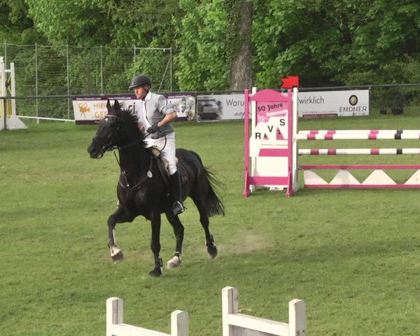Reitturnier Schwaigern 2017