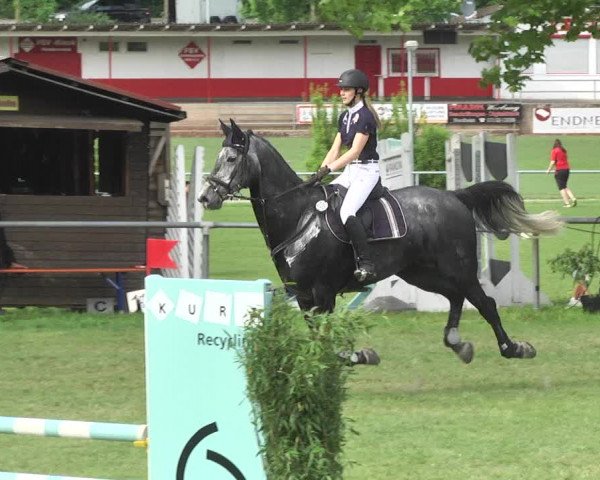 Reitturnier Schwaigern 2017