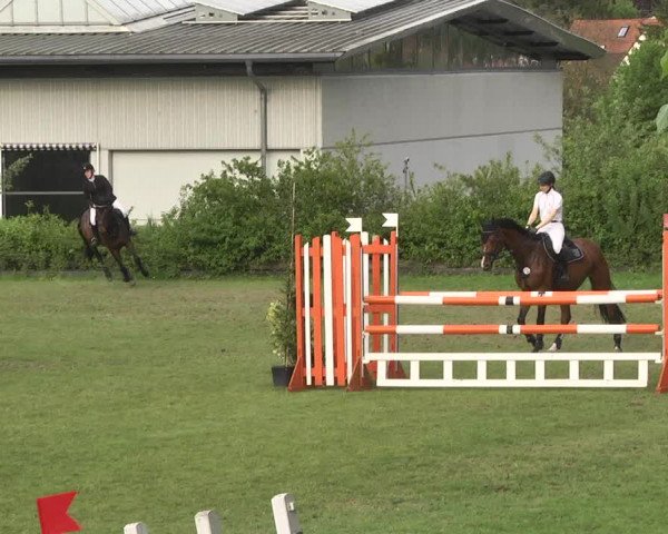 Reitturnier Schwaigern 2017