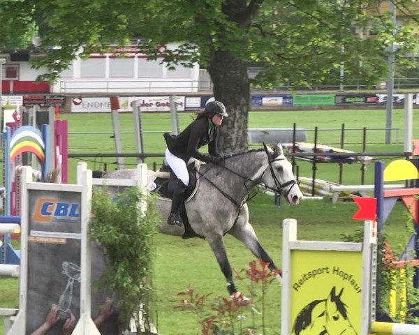 Reitturnier Schwaigern 2017