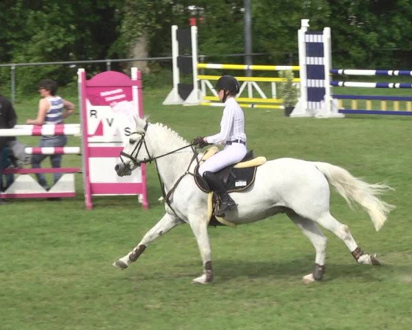 Reitturnier Schwaigern 2017
