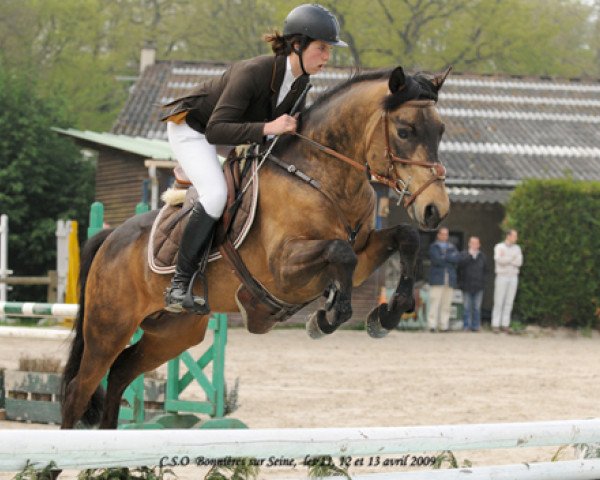 Springpferd Pegase de Kerduff (Connemara-Pony, 2003, von Ready IV)