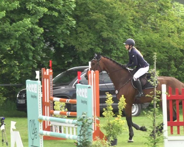 Reitturnier Schwaigern 2017