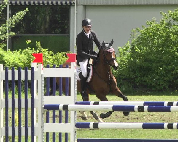 Reitturnier Schwaigern 2017