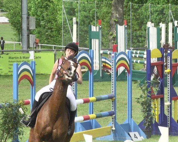 Reitturnier Schwaigern 2017
