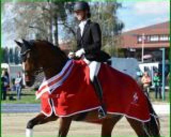 dressage horse Orla Vom Loo CH (Swiss Warmblood, 2010, from Sir Donnerhall I) dressage horse Orla Vom Loo CH (Swiss Warmblood, 2010, from Sir Donnerhall I)