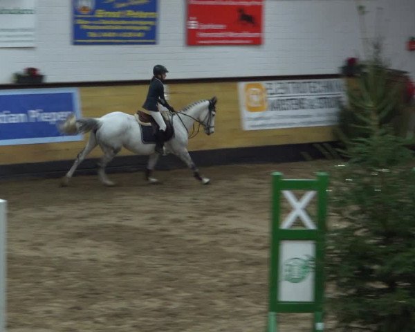 Reitturnier Heide 2021