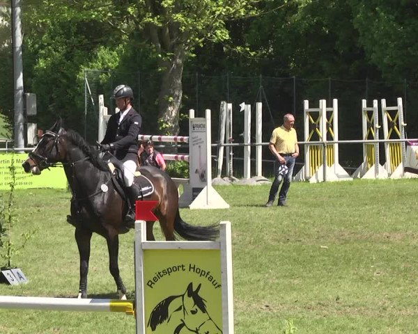 Reitturnier Schwaigern 2017