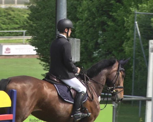 Reitturnier Schwaigern 2017