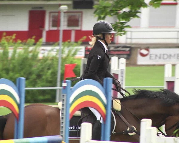 Reitturnier Schwaigern 2017