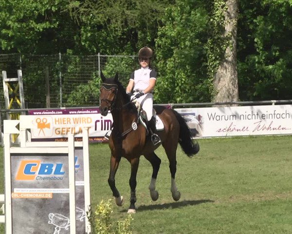 Reitturnier Schwaigern 2017