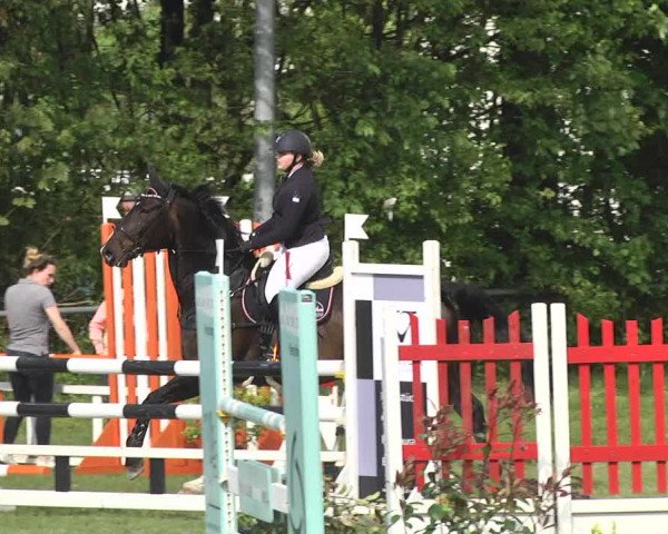 Reitturnier Schwaigern 2017