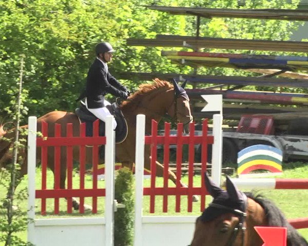 Reitturnier Schwaigern 2017