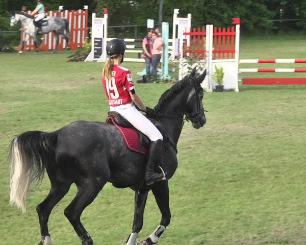 Reitturnier Schwaigern 2017