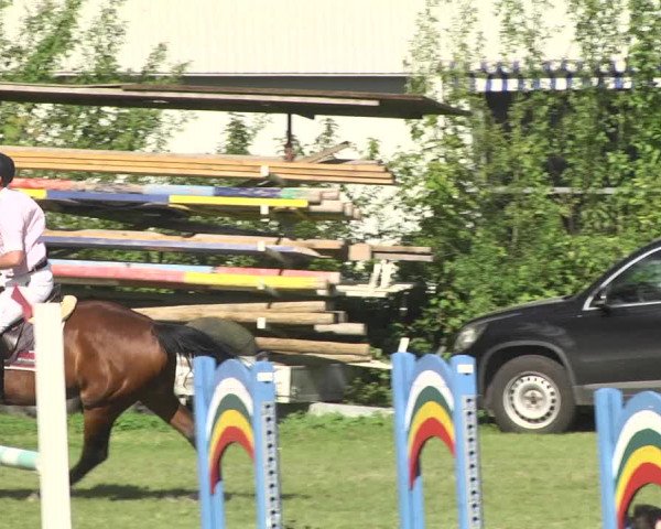 Reitturnier Schwaigern 2017