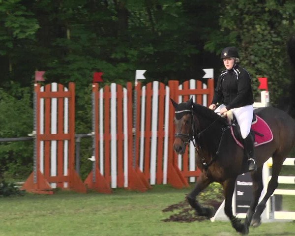 Reitturnier Schwaigern 2017
