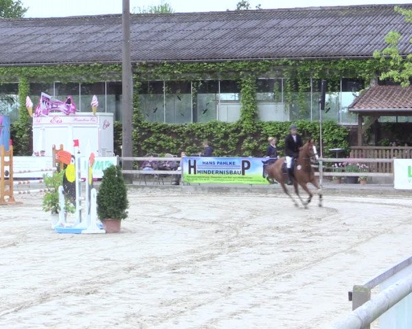 Reitturnier Nienberge 2017