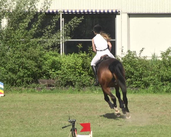 Reitturnier Schwaigern 2017