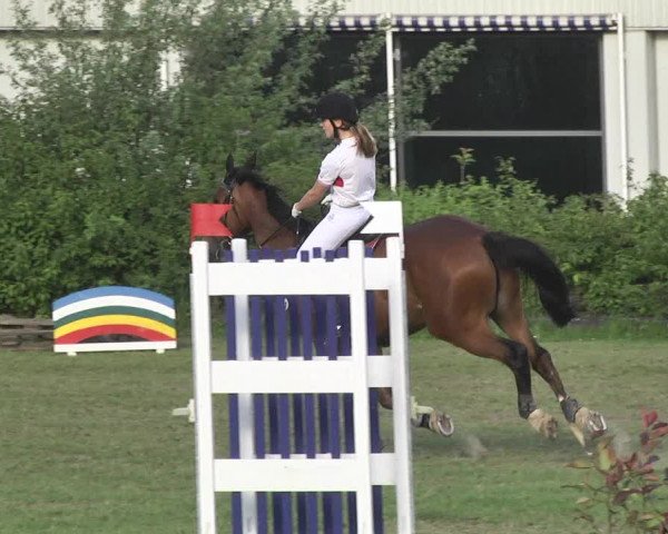 Reitturnier Schwaigern 2017