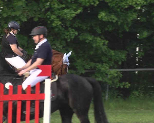 Reitturnier Schwaigern 2017