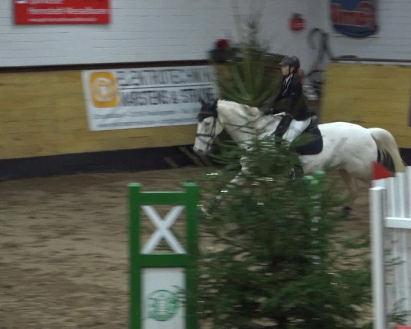 Reitturnier Heide 2021