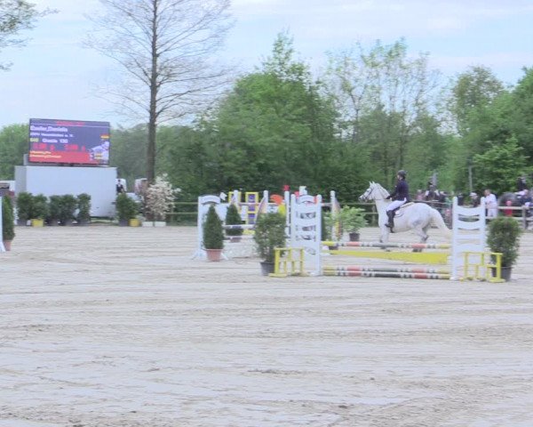 Reitturnier Nienberge 2017