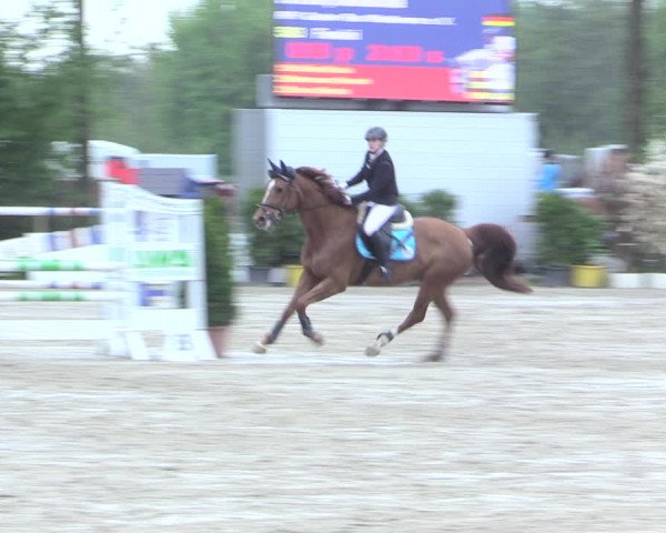 Reitturnier Nienberge 2017