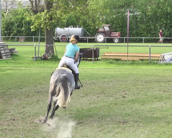 Reitturnier Schwaigern 2017
