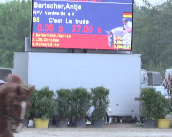 Reitturnier Nienberge 2017