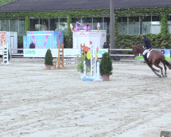 Reitturnier Nienberge 2017