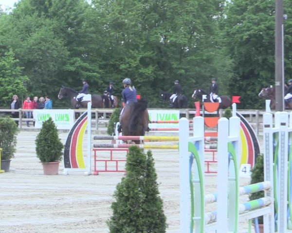 Reitturnier Nienberge 2017