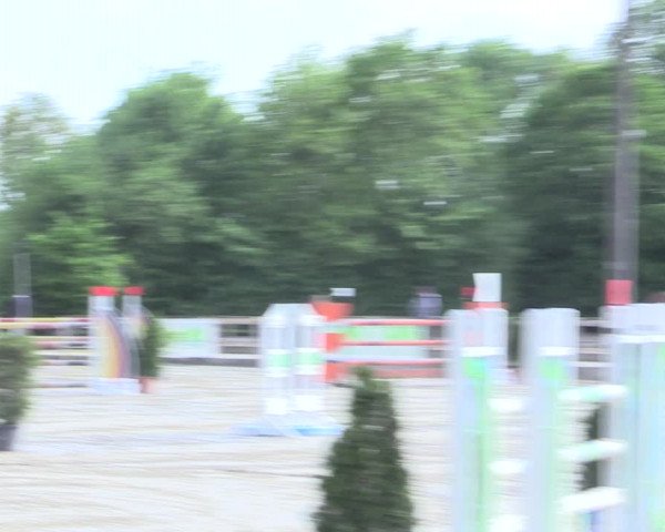 Reitturnier Nienberge 2017