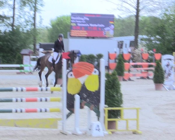 Reitturnier Nienberge 2017