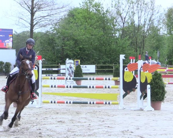 Reitturnier Nienberge 2017
