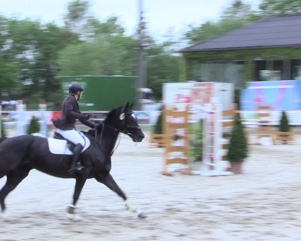 Reitturnier Nienberge 2017