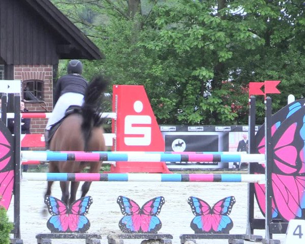 Reitturnier Nienberge 2017
