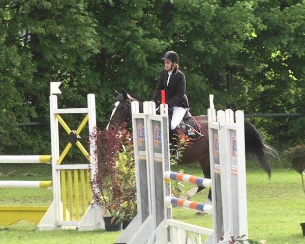 Reitturnier Schwaigern 2017
