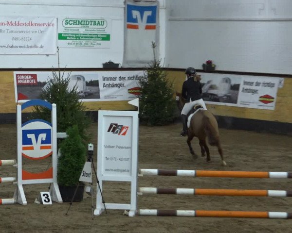 Reitturnier Heide 2021