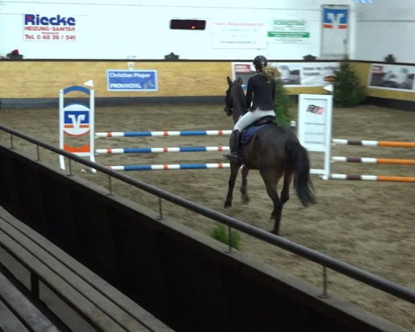 Reitturnier Heide 2021