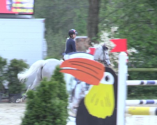 Reitturnier Nienberge 2017