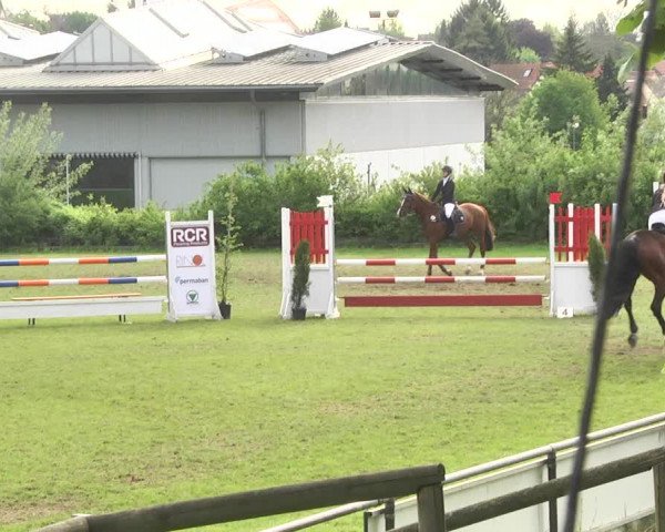 Reitturnier Schwaigern 2017