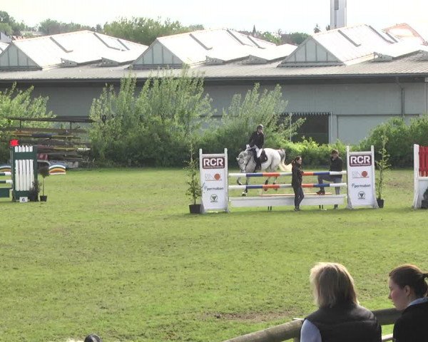 Reitturnier Schwaigern 2017