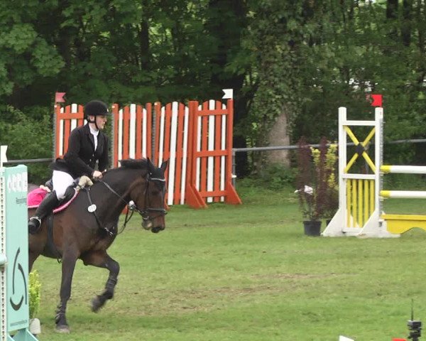 Reitturnier Schwaigern 2017