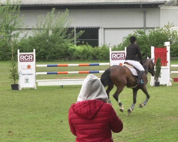 Reitturnier Schwaigern 2017