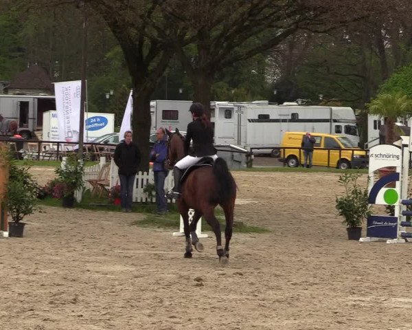 Reitturnier Halver 2017